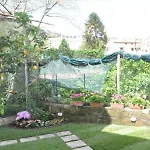 Mignon Meublè Hotel 3*
