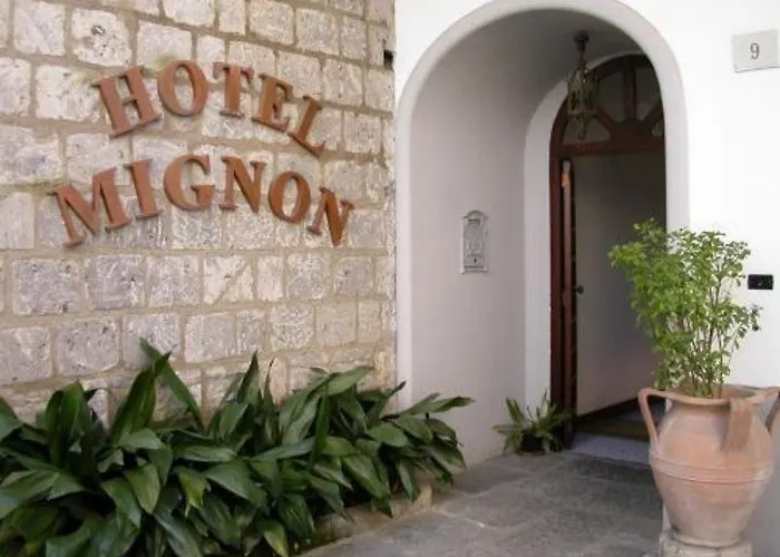 ミニョン メウブレ